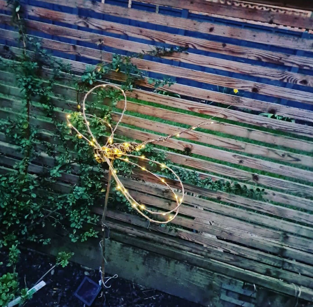 Dragonfly with Outside lights