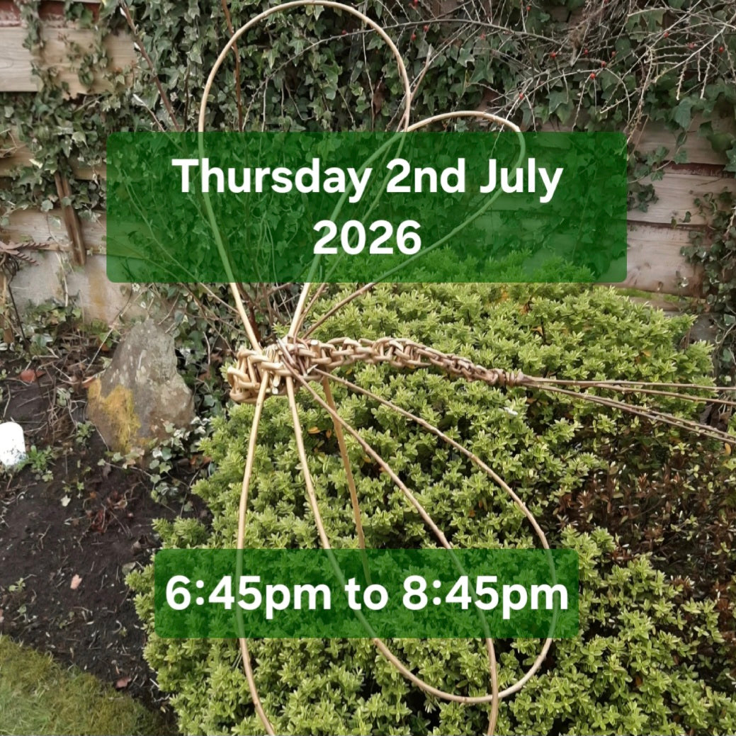 Willow Dragonfly at Brooklands Healthclub 2.7.26